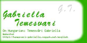 gabriella temesvari business card